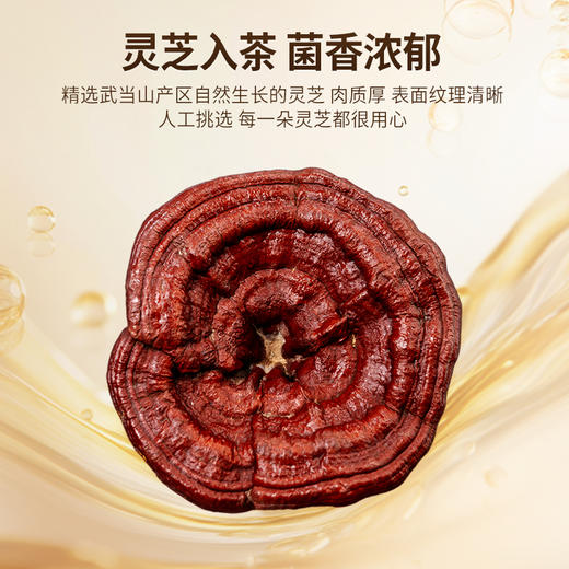【大宅门】有机灵芝武当道茶45g/盒/3g*15袋 商品图3
