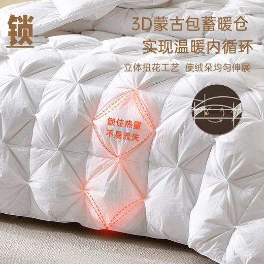 西伯利亚进口95白鹅绒冬被(扭花款) 商品图4