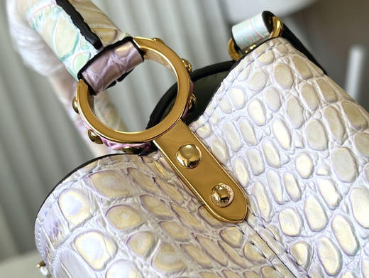 秋冬特惠💰1430 渠道级LV 新品🔸te级LV精品🔸N93163/M48865五彩流金鳄鱼纹 商品图6