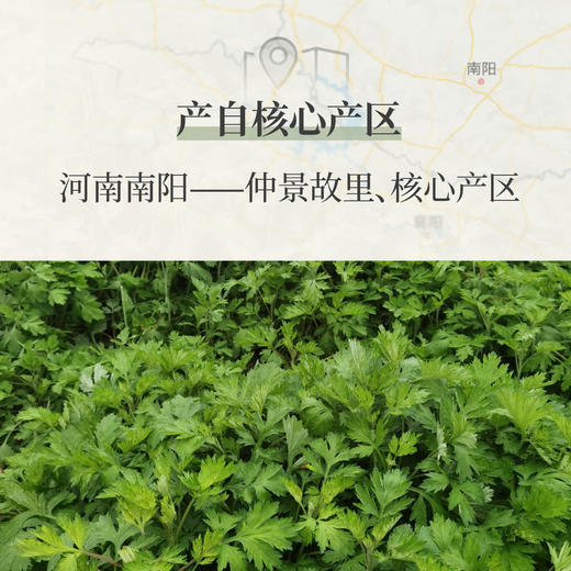 芳研社定制艾灸贴南阳3年陈艾自发热肩颈腰椎小腹长效热敷精准温控 商品图1