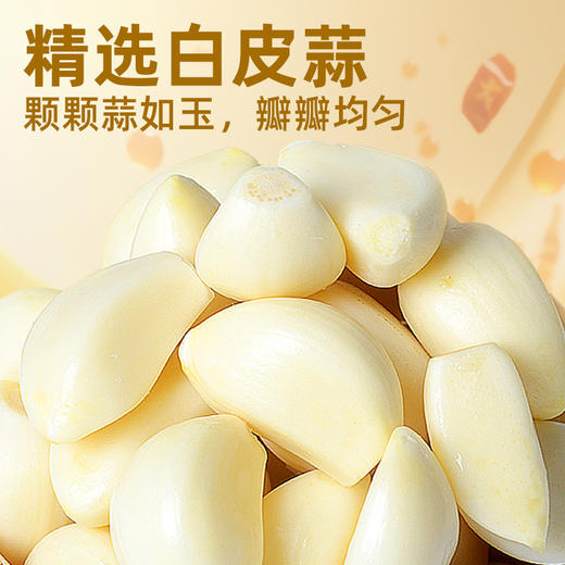 黑色经典湖南特产香辣酱下饭菜瓶装拌面拌饭调味酱瓶装蒜蓉辣椒酱 商品图3