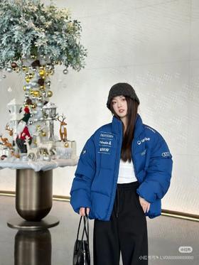 迪桑特情侣款户外鹅绒立领短款羽绒服