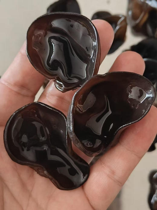 🌿【黛西农场 | 东北有机黑木耳】品质超赞❗️我妈都说好‼️ 口感超好‼️就是这么自信 👍 ✅泡发率高！🏕️一小撮就能炒一盘菜 商品图5