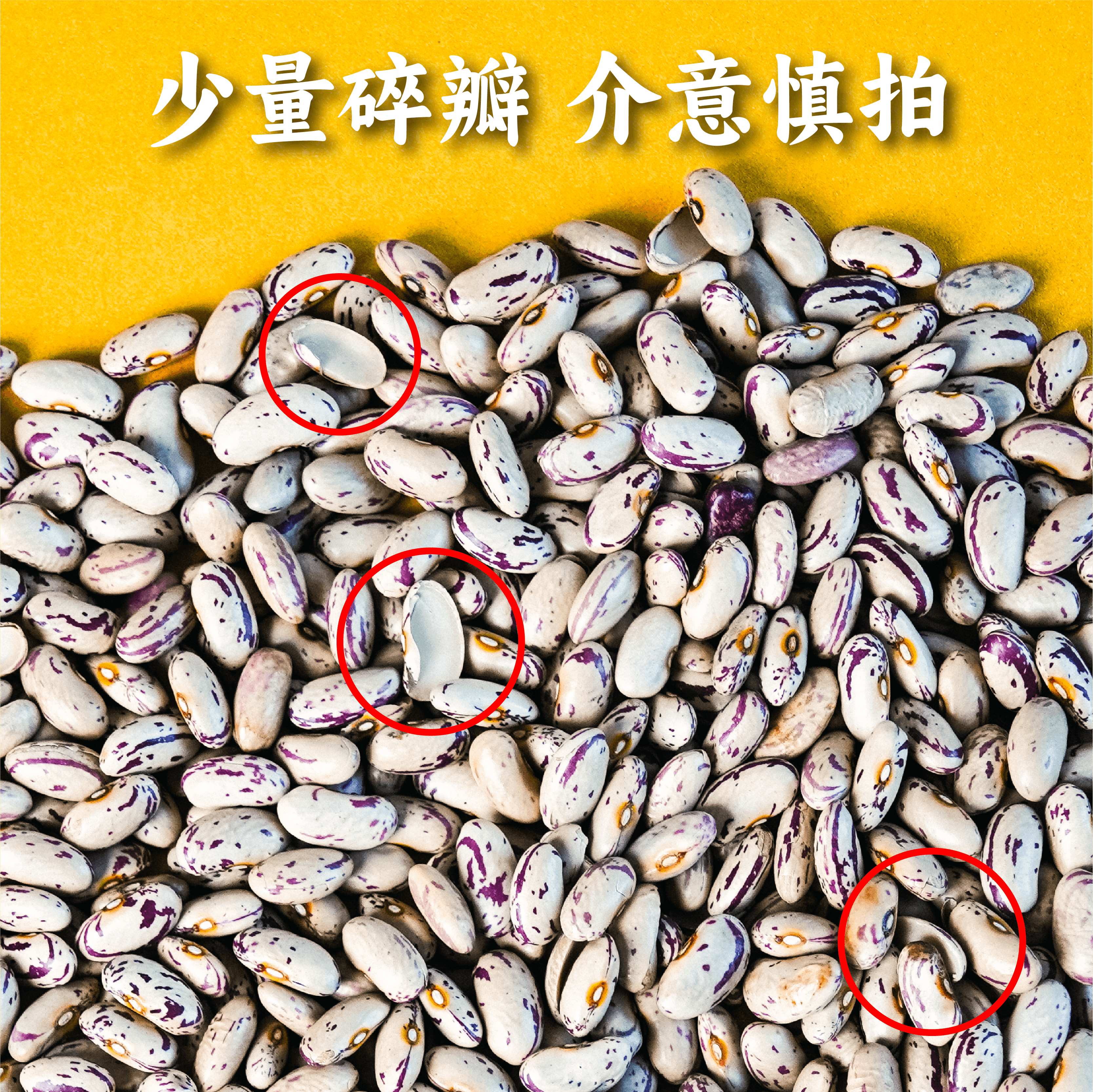 【2025年秋收】谦益香畴花皮芸豆1斤 东北原产 自然农耕  传统老品种 营养丰富 炖煮 煲汤 焖饭 沙拉