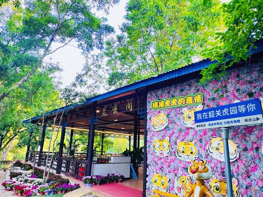 【韶关华南虎园|围炉煮茶打卡套餐】仅48元起抢华南虎园·围炉茶歇套餐｜三五好友围坐，慢煮小时光 商品图3