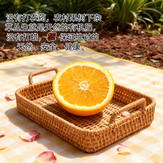 三峡纽荷尔脐橙【11月应季水果】 商品图1