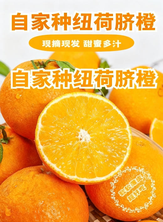 三峡纽荷尔脐橙【11月应季水果】 商品图0