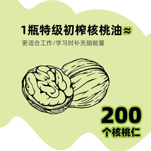 疆品聪达·核桃X博士特级初榨核桃油150ml   一瓶核桃油≈200个核桃仁 商品图2