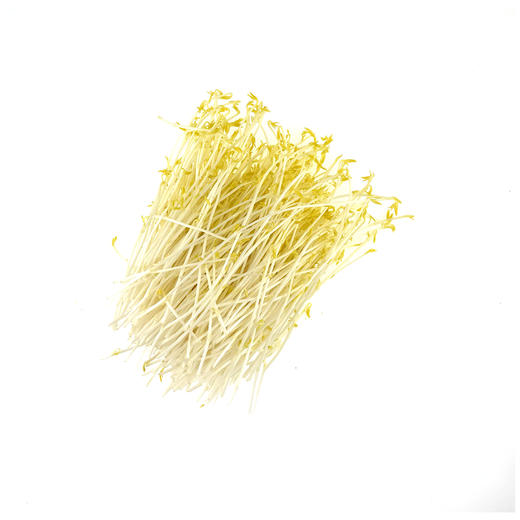 【自然农法】有机土培松柳 商品图0