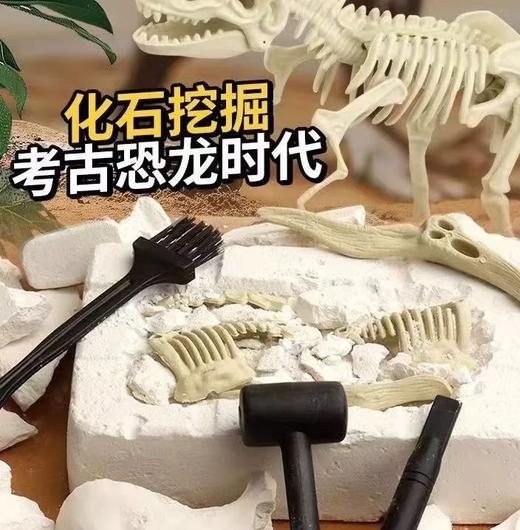 【5F】心乐园 考古盲盒 小小考古学家 商品图1