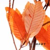 永生花材 | 永生板栗叶橙色 商品缩略图2