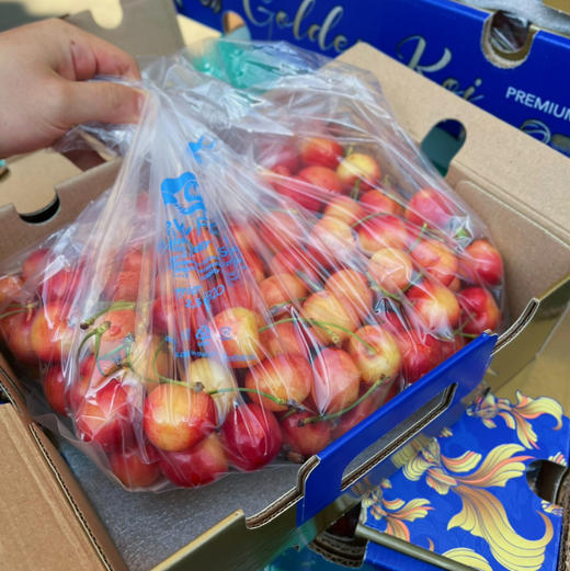 【黄车】蕾妮尔，黄车厘子，货脆甜口感，口感很好，入口核小，自吃送礼！ 商品图1