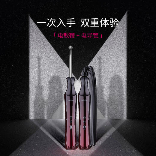 roomfun电击惩罚sm道具女皮鞭调教鞭子地狱级情趣用品大尺度玩具 商品图2