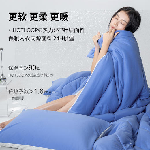 本屋创品小暖被加厚保暖春秋冬被可机洗四季通用阻螨7A抗菌被芯 商品图1