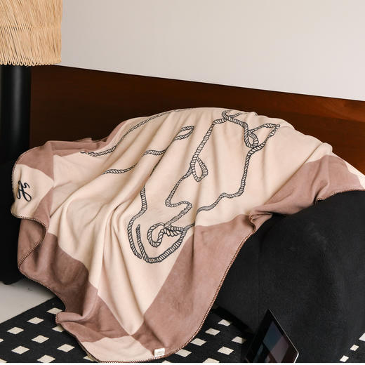 自然醒老钱风爱马仕风双面绒毛毯国王小马系列MT 商品图13