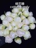 新西兰进口芍药棉花糖1支 商品缩略图0