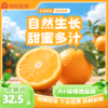 赣南脐橙大果家庭共享包邮直发 【NB】 商品缩略图0