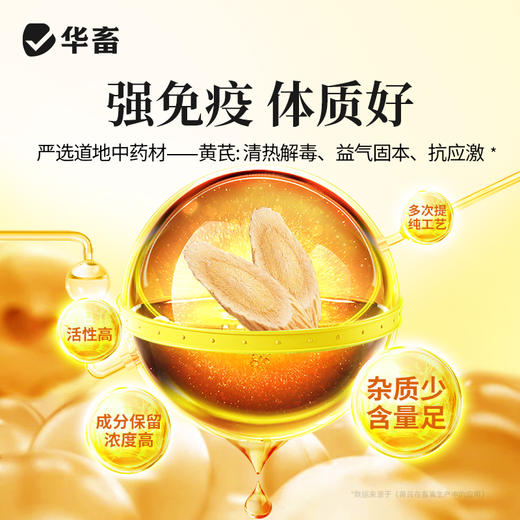 黄芪酵母粉20斤 益气固本补营养促吸收 商品图2