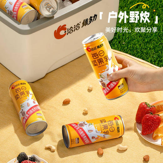 洽洽维多力每日坚果乳240ml 商品图1