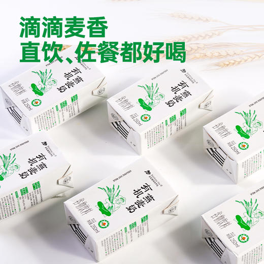 彩虹星球|有机燕麦奶 商品图2