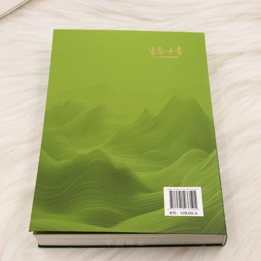 生态丹青——生态文明建设典型案例 &3350 商品图3