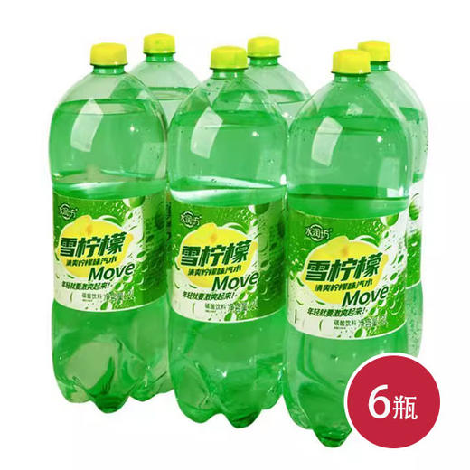 水润坊雪柠檬汽水 碳酸饮料2L*6(6975741981168 ) 商品图0