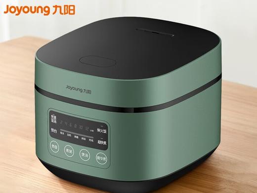 九阳电饭煲F30FZ-F636 商品图0
