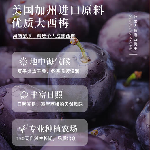 【分仓直发包邮】牧果人无核西梅干100g*3袋 商品图7