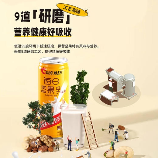 洽洽维多力每日坚果乳240ml 商品图5