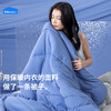本屋创品小暖被加厚保暖春秋冬被可机洗四季通用阻螨7A抗菌被芯 商品缩略图0