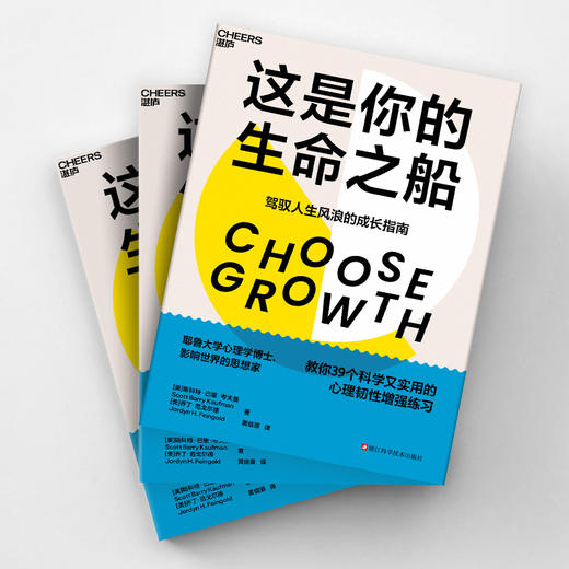 这是你的生命之船  驾驭人生风浪的成长指南，提升心理韧性 商品图3