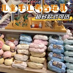 【5F】心乐园 考古盲盒 小小考古学家