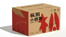 【梅州帮扶】生长地枞阳小甜薯 2.5kg