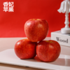 新疆 阿克苏 树上熟香妃苹果 蜜脆香甜 自然成熟 商品缩略图2