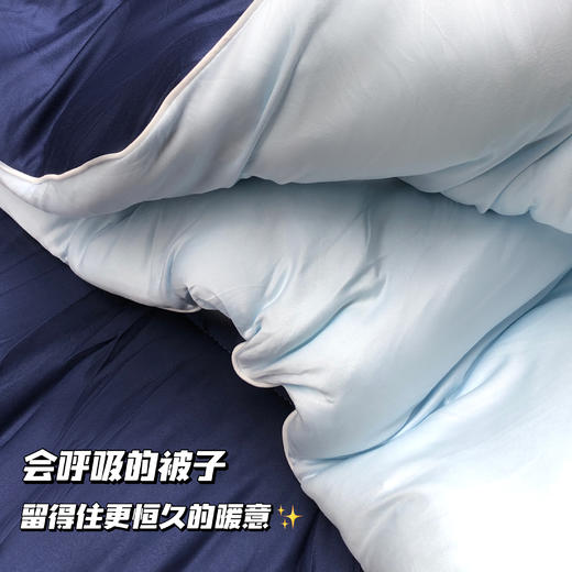 费斯巴赫 德绒深睡控温被 进口德绒 智能温控 柔软细腻 亲肤舒适 6斤/8斤 商品图6