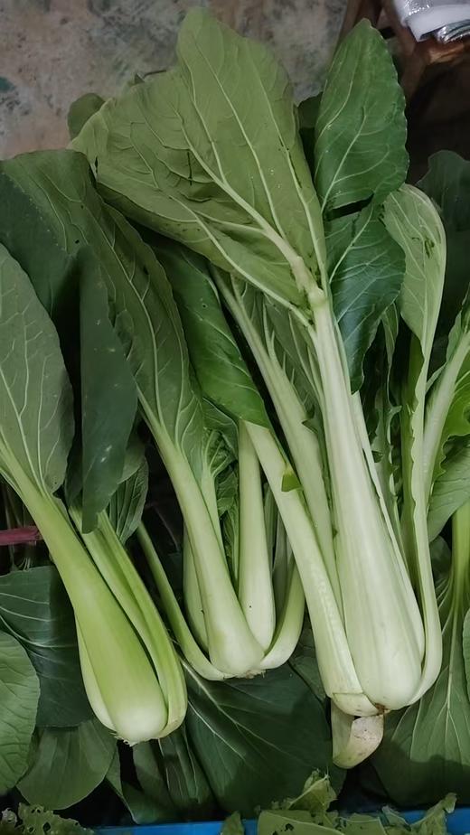 老品种青菜400g~农场现摘现发 商品图4