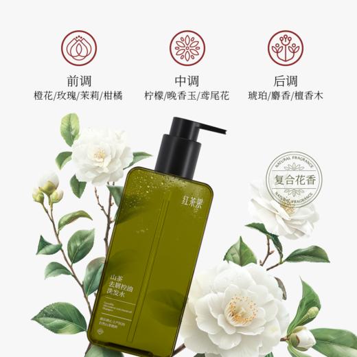 红茶果山茶去屑控油洗发水460g 商品图4