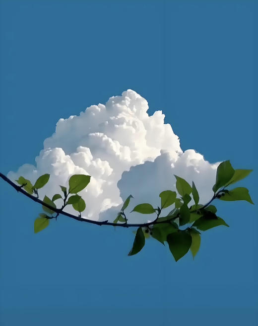 泡朵白云 大组合装，七种颜色不同心情，家庭分享送礼首选#多巴胺 净含量60g 2.5g*24 商品图11