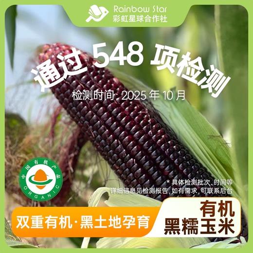 彩虹星球|有机黑糯玉米 商品图0