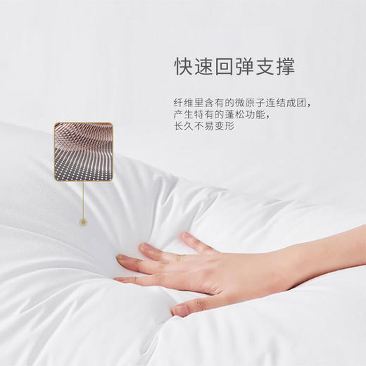 HZ羽丝棉枕芯 酒店款 1350g 80*50cm 商品图3