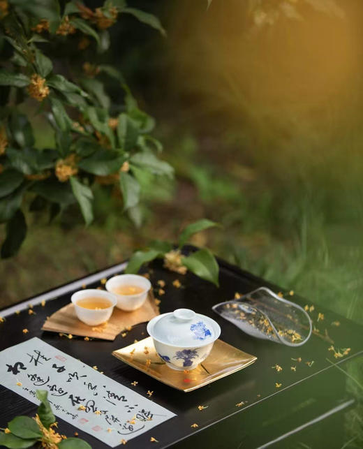 桂花、荔枝茶酿 商品图1