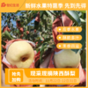 陕西酥梨大果家庭共享包邮直发 【NB】 商品缩略图0