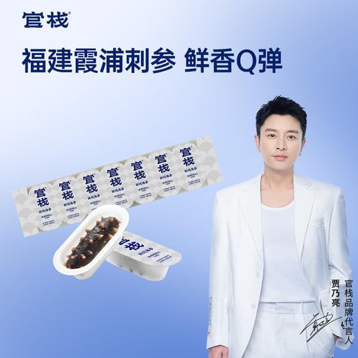 【限时特惠】-月套餐 官栈鲜炖海参·6Q霞浦刺参滋补海参 商品图0