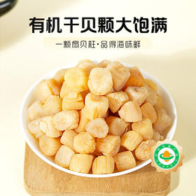 绿帝有机大号干贝 威海淡干干贝 性价比选择 扇贝瑶柱海鲜煲汤食材 150g/罐