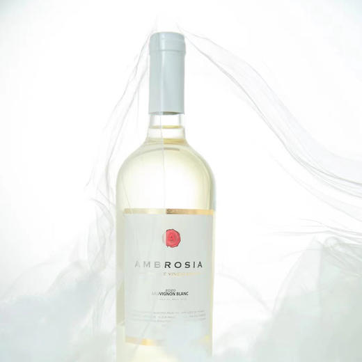 安博干白 商品图1