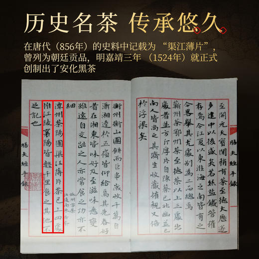 茶马世家 千两花卷茶 2012年湖南特产 礼盒装600g 商品图1