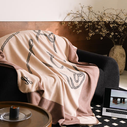 自然醒老钱风爱马仕风双面绒毛毯国王小马系列MT 商品图1