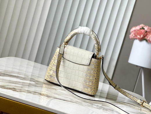 秋冬特惠💰1500 渠道级LV 新品 te级LV N93163/M48865喜马拉雅鳄鱼纹 商品图2