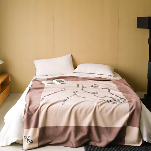 自然醒老钱风爱马仕风双面绒毛毯国王小马系列MT 商品图3