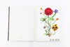 植物図鑑Ⅵ / Encyclopedia of Flowers VI / 植物图鉴 6 商品缩略图4